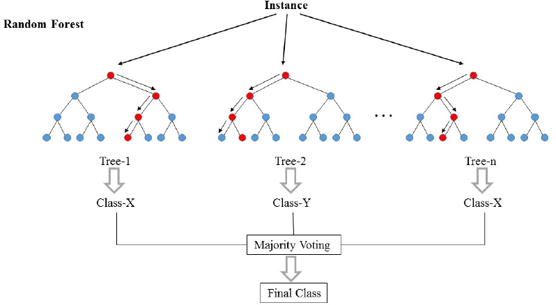 Random Forest Model